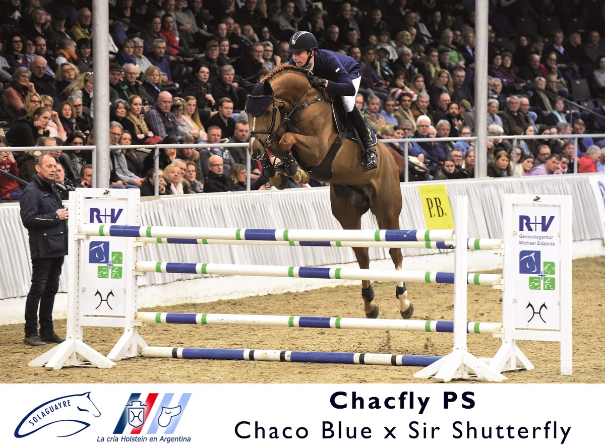CHACFLY PS